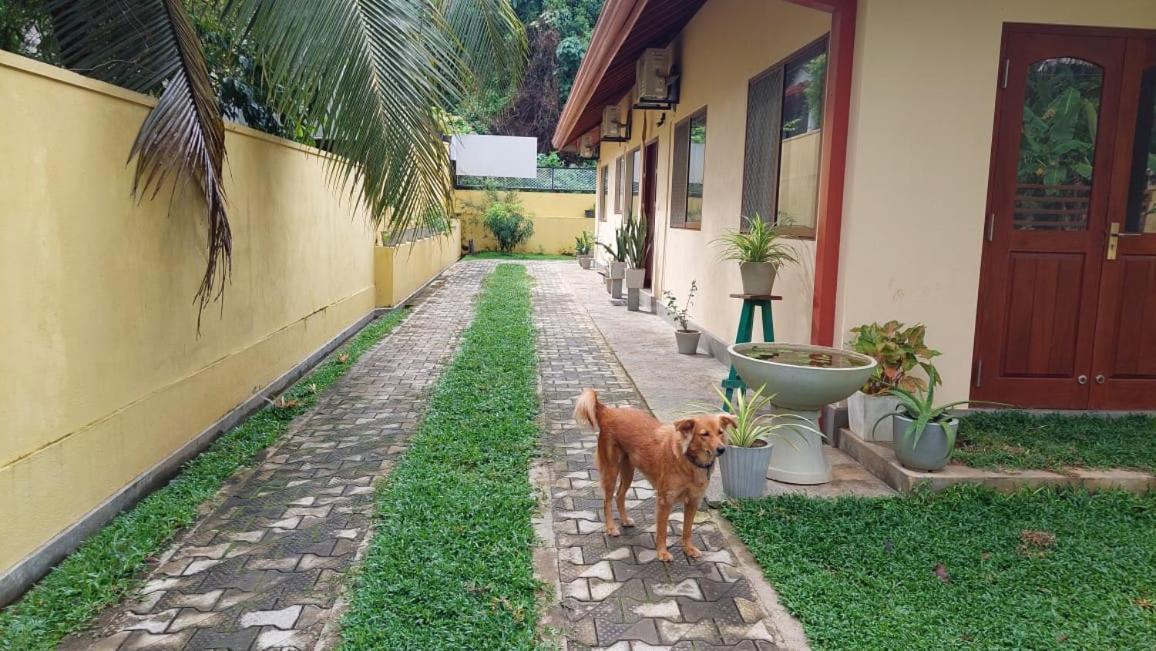 El-Nivasa Villa Weligama Esterno foto