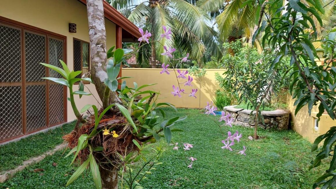 El-Nivasa Villa Weligama Esterno foto